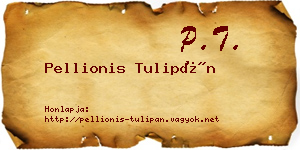 Pellionis Tulipán névjegykártya
